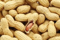 Serve boiled peanuts in the shell so your guests can enjoy the liquid mades its way inside during cooking.