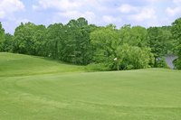 Healthy zoysia grass forms a rich green lawn or golf course.