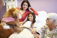 Therapy dogs who visit hospitals and health care facilities have a higher risk of carrying MRSA.