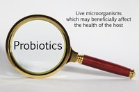 Probiotics maintain intestinal health and support the immune system.