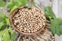 A bowl of whole coriander seeds.