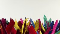Use colorful feathers to decorate your bird mask.