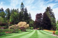 Lawn stripes are a result of light reflection off of bent grass blades.