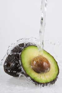 The avocado plant does not do well with too much or too little water.