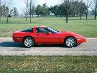 High-performance mechanics should have an interest in sports and specialty cars.