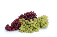 Grape plants produce mature fruits at different times throughout the growing season.