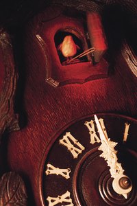 Cuckoo clocks need careful care to remain in good working order.