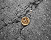 Asphalt driveways last longer than concrete driveways.