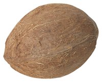 The coconut's hard shell makes it ideal for craft projects.