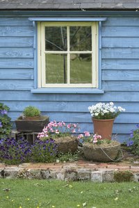 Remove grub worms from potted plants before bringing them indoors.