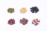 Beans don't have a large effect on blood sugar levels.