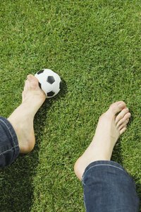 Few grasses are shade tolerant and luxurious.