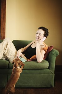 Dogs with long bodies and short legs are predisposed to back problems.
