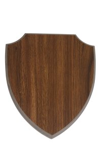 Simple wood shields were used in ancient warfare.