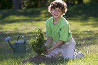 Tree planting projects require the whole neighborhood to become involved.