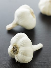Grind dried garlic into powder.