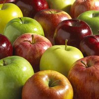 Organic in-season apples