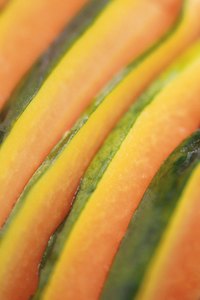 Coax cantaloupes from a garden with attentive gardening.
