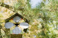 A birdhouse roof's angles need to be exact.