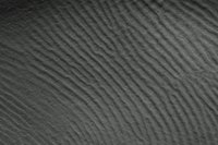 Lines and use of light and dark can create rhythm.