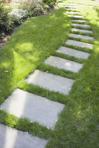 Keep the grassy portions of your landscape green with natural fertilizers.