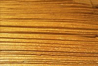 Brush on water to raise wood grain.