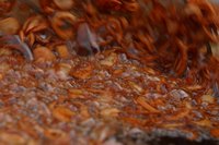 Soup can be frozen and refrozen to last for several meals.