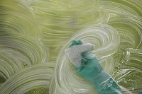 Suds can clean your windows better than some commercial window cleaners.