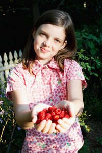 Fresh-picked raspberries fill summertime family memories.