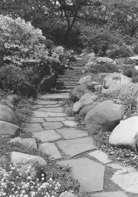 Flagstone walkways and boulders on a slope accent soft garden features.