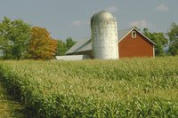 On farms, silos are used to store grain.