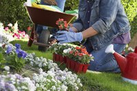 Roundup quickly removes grass and weeds for new gardens.
