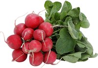 Be careful not to disturb the roots when transplanting radishes.