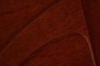 A matte finish protects a wood surface.
