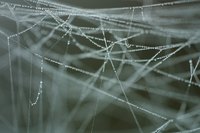 Mimic a spider web by knitting irregularly in gauzy yarns like mohair