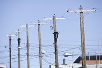 Telephone and electric companies are examples of natural monopolies.