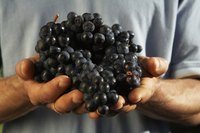 Grapes with thick skins might be easier to eat and digest if you peel them first.