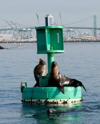 Visitors can explore the natural and manmade wonders of San Pedro.