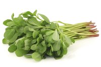 You can use purslane in place of watercress, which has a similar flavor.