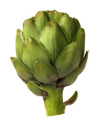 Cut off the stem of a globe artichoke so it will sit level.