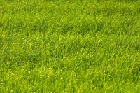 A 3-acre yard requires hours of mowing each week.