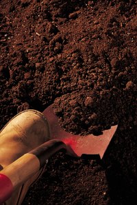 Sometimes, a shovel is not enough to get through hard dirt and roots.