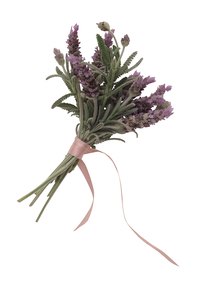 The fragrances and properties of lavender and rosemary work well in soap.