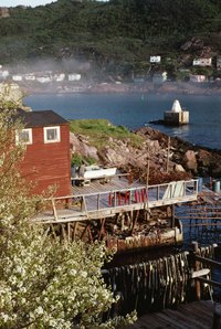 Houses on pilings sit above the ground.