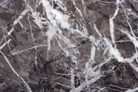 Granite is a durable and beautiful type of stone.