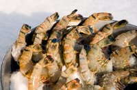 The terms shrimp and prawn are used interchangeably.