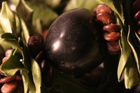 A black kukui nut in a Hawaiin lei.