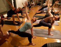 Yoga practitioners holding a pose on their mats in a studio.