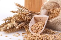 Foods naturally high in protein tend to be low in sugar.