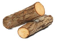 Wood became the prominent source for paper-making in the 19th century.